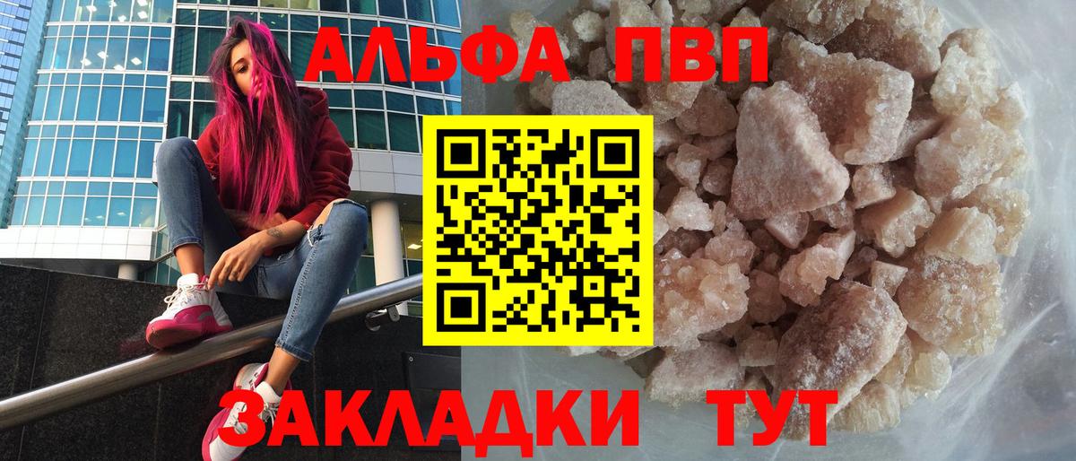 A PVP СК КРИС Кемерово