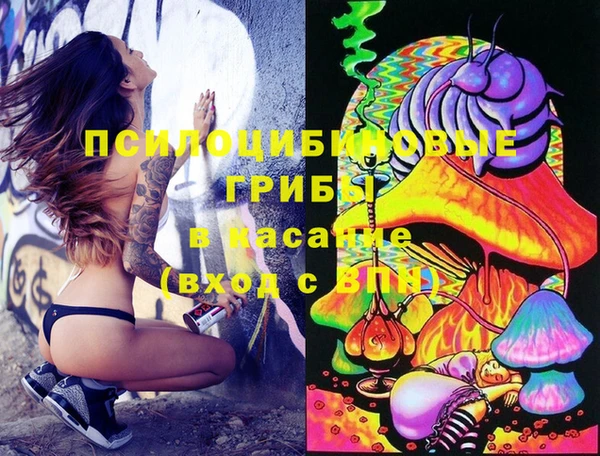 ПСИЛОЦИБИНОВЫЕ ГРИБЫ Тутаев