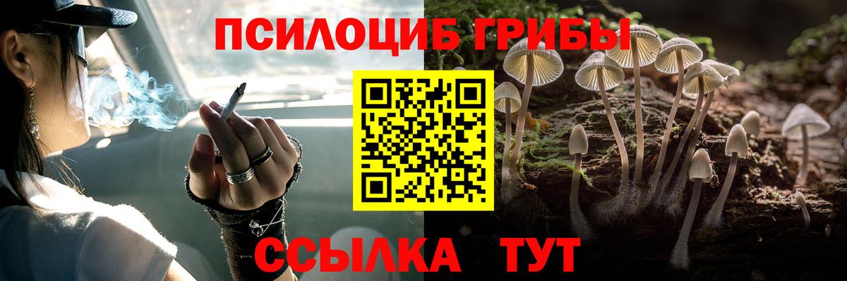 Кемерово  Галлюциногенные грибы прущие грибы  Вход с VPN 